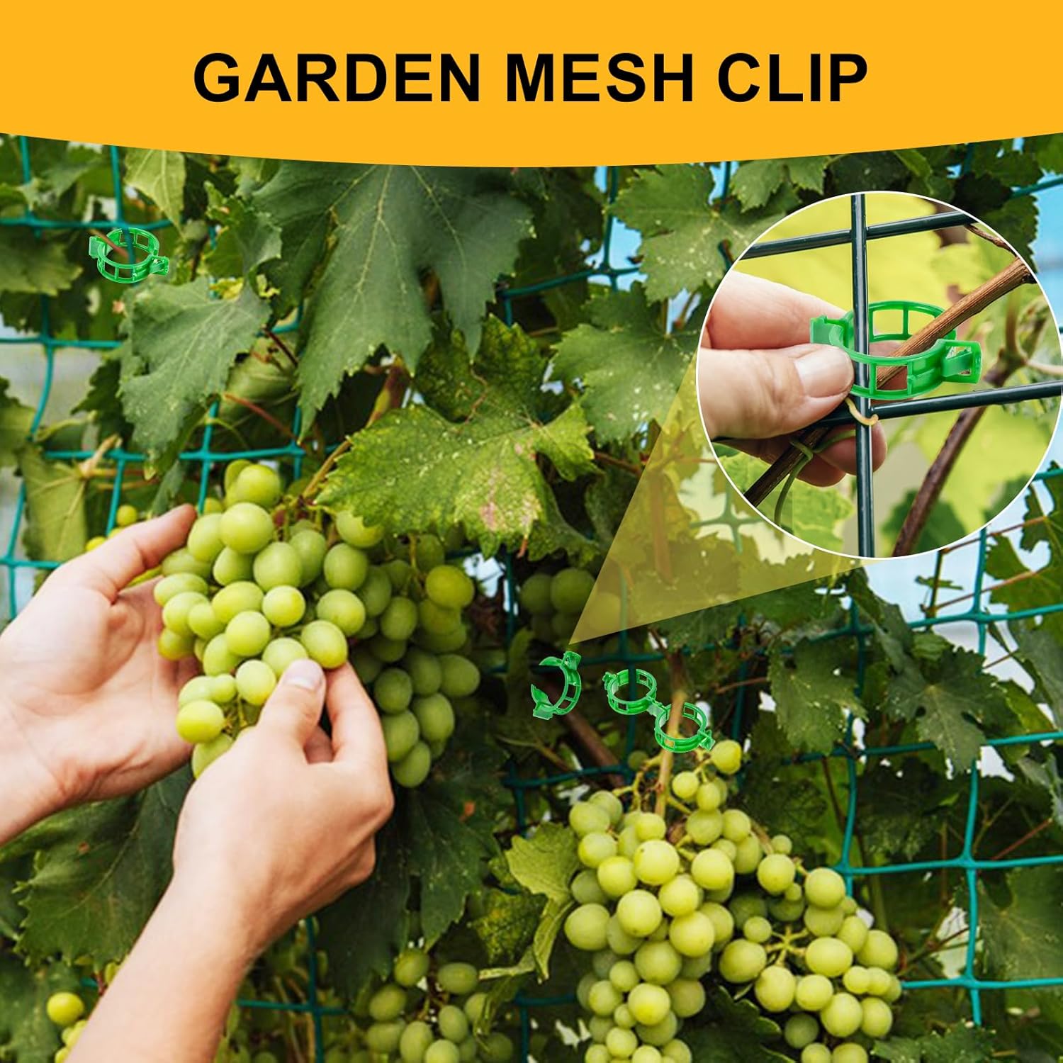 Skiennix 200Pcs Plant Support Clips - Secure Tomato & Grape Vine Clamps for Garden Netting (Green)