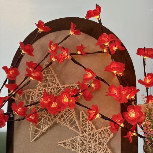 2 Pack Led Red Plum Bossom Branch Light Battery Operated Lighted Branch Artificial Lamei Floral Little Twig Light 30 Inch 20 LED for Home Vase Decoration (Red)