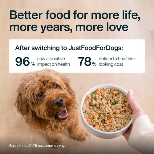JustFoodForDogs JustFresh Boost Dog Food Toppers - Sensitive Skin & Immune Support, 8 oz Pouches (8 Pack)