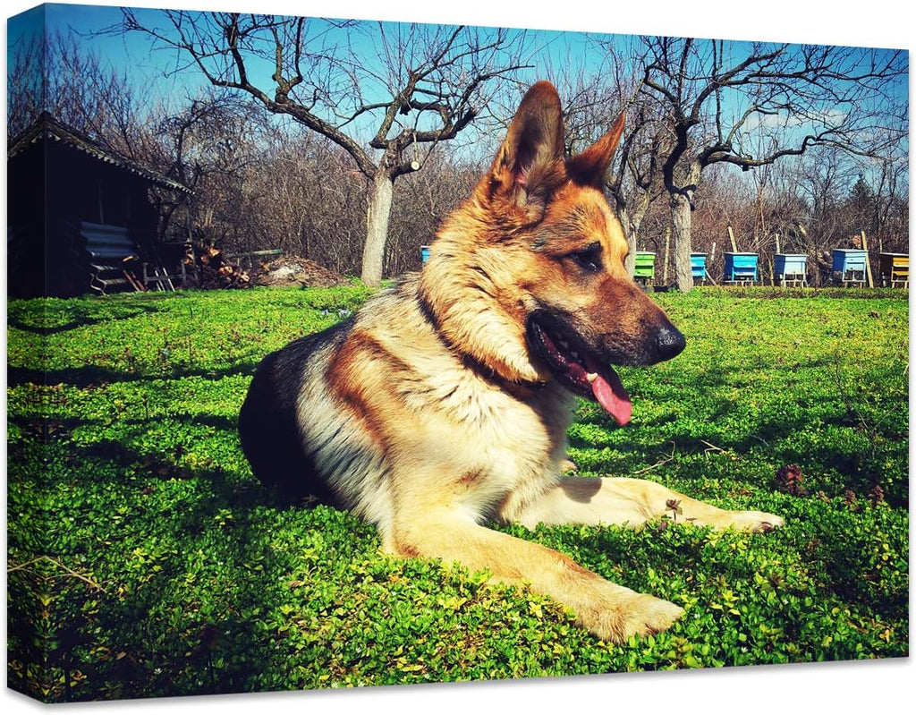 Personalized Canvas Print by [Brand Name] - Custom Photo Wall Art for Home Décor | 14" W x 11" H