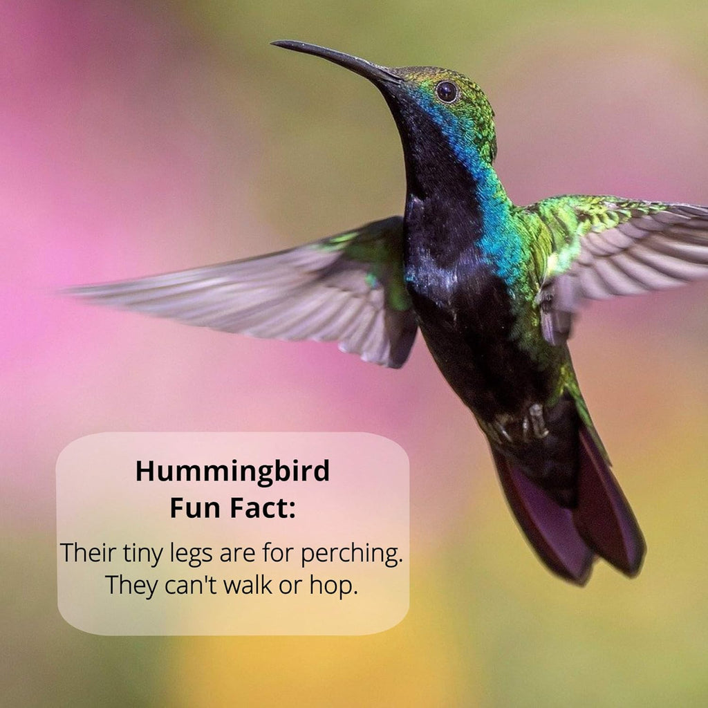 Sapphire Labs Hummingbird Nectar - Naturally Fresh Powder Makes 96 oz | Lasts Longer with Nectar Defender