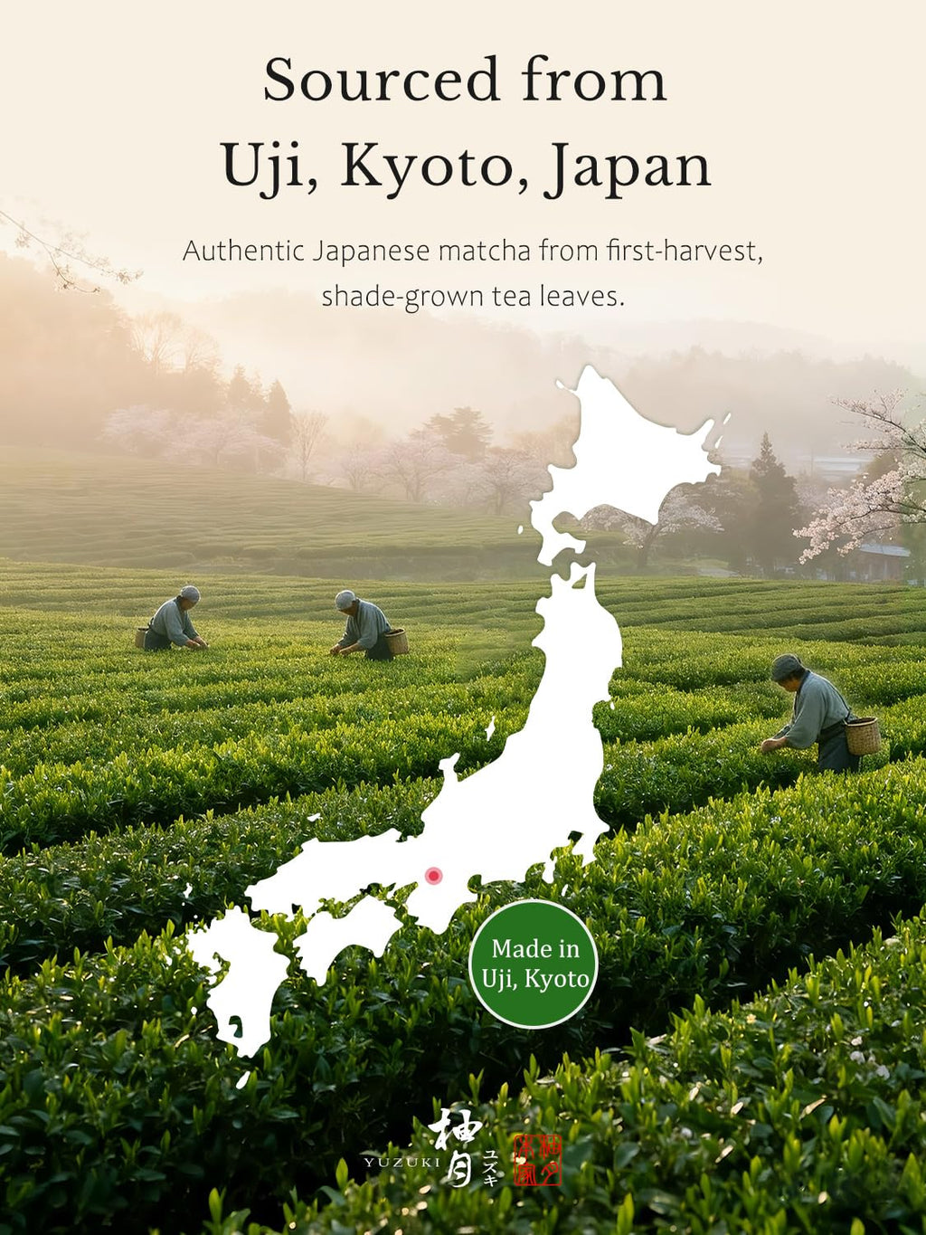 YUZUKI Matcha Powder - Japanese Ceremonial Grade Green Tea - First Harvest, Zero Sugar, 40g (1.4 oz)