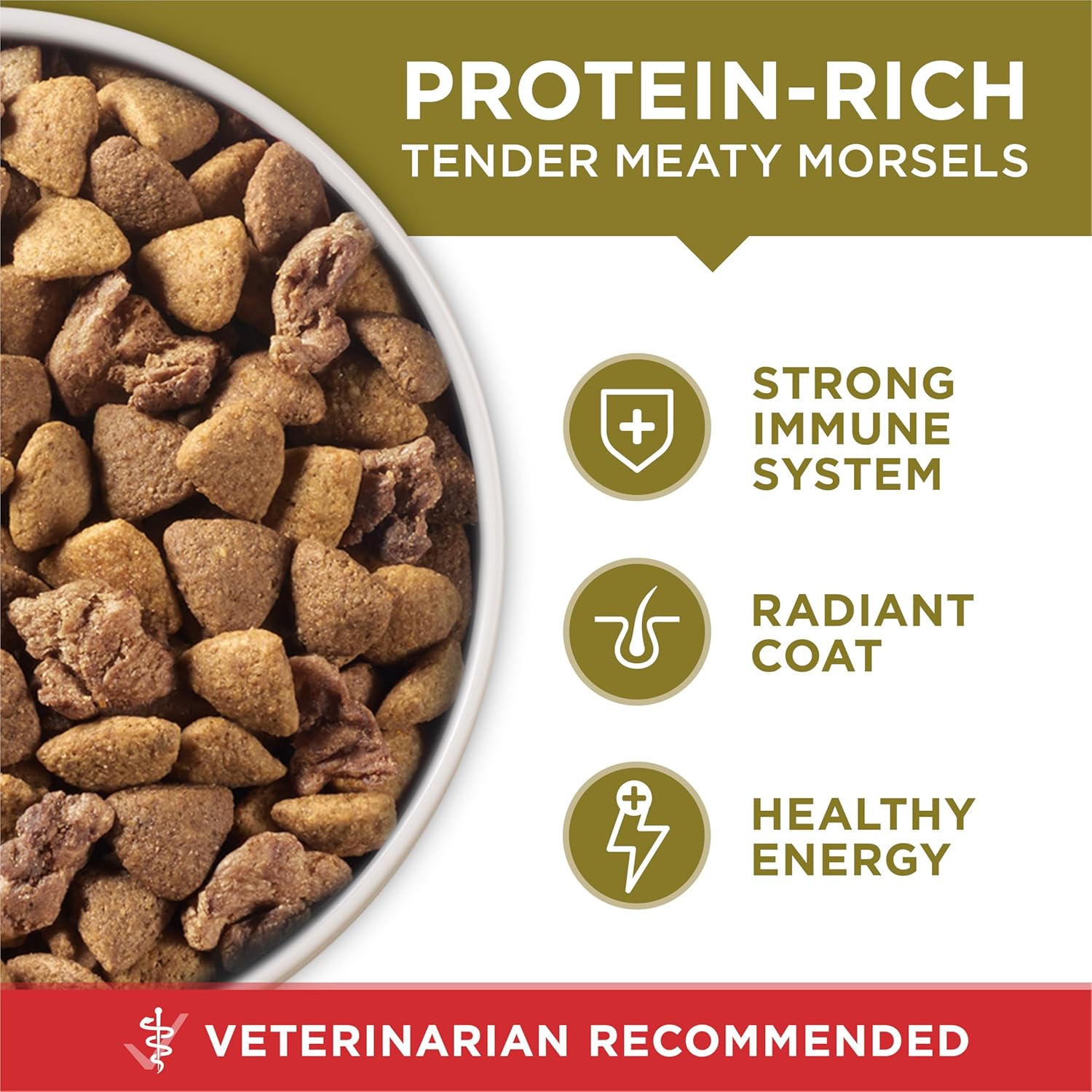 Purina ONE Dry Dog Food - Lamb & Rice Formula for Healthy Digestion | 31.1 lb. Bag