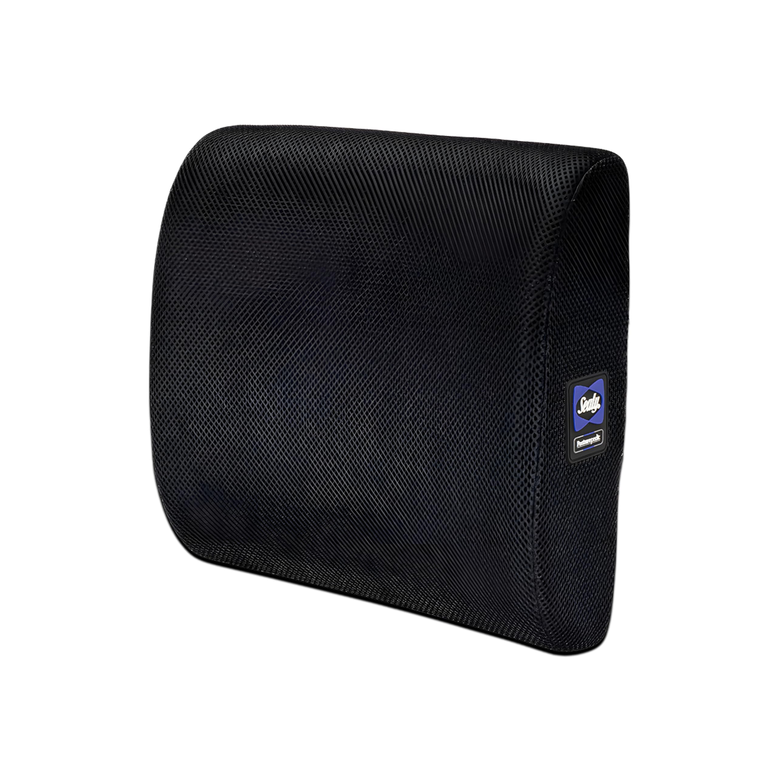 Sealy Lumbar Support Pillow for Office Chair and Car Seat - Lower Back Pain Relief, Memory Foam Lumbar Pillow & Back Brace Support Posture Corrector