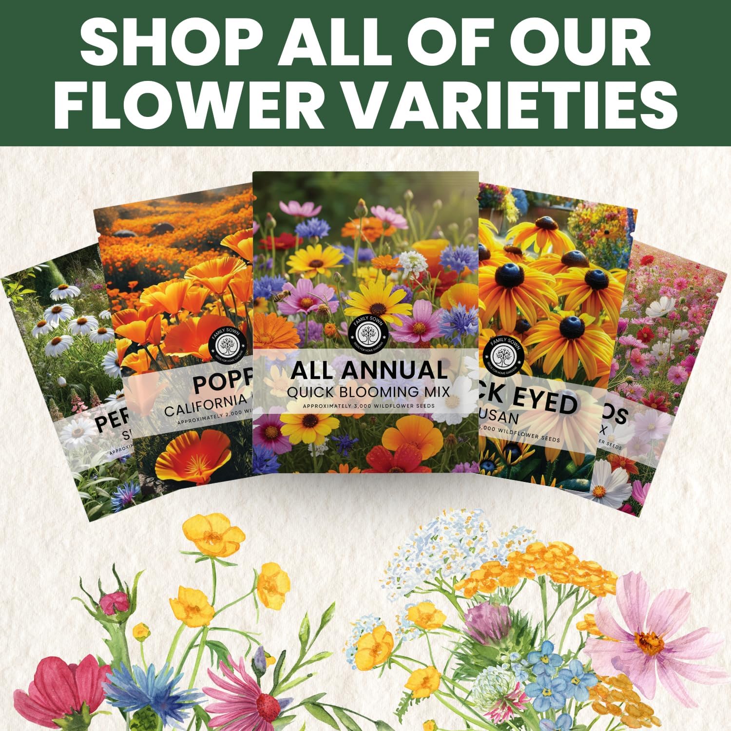 All Annual Quick Blooming Mix - 16,000 Wildflower Seeds for Vibrant Gardens - 1 Ounce Packet