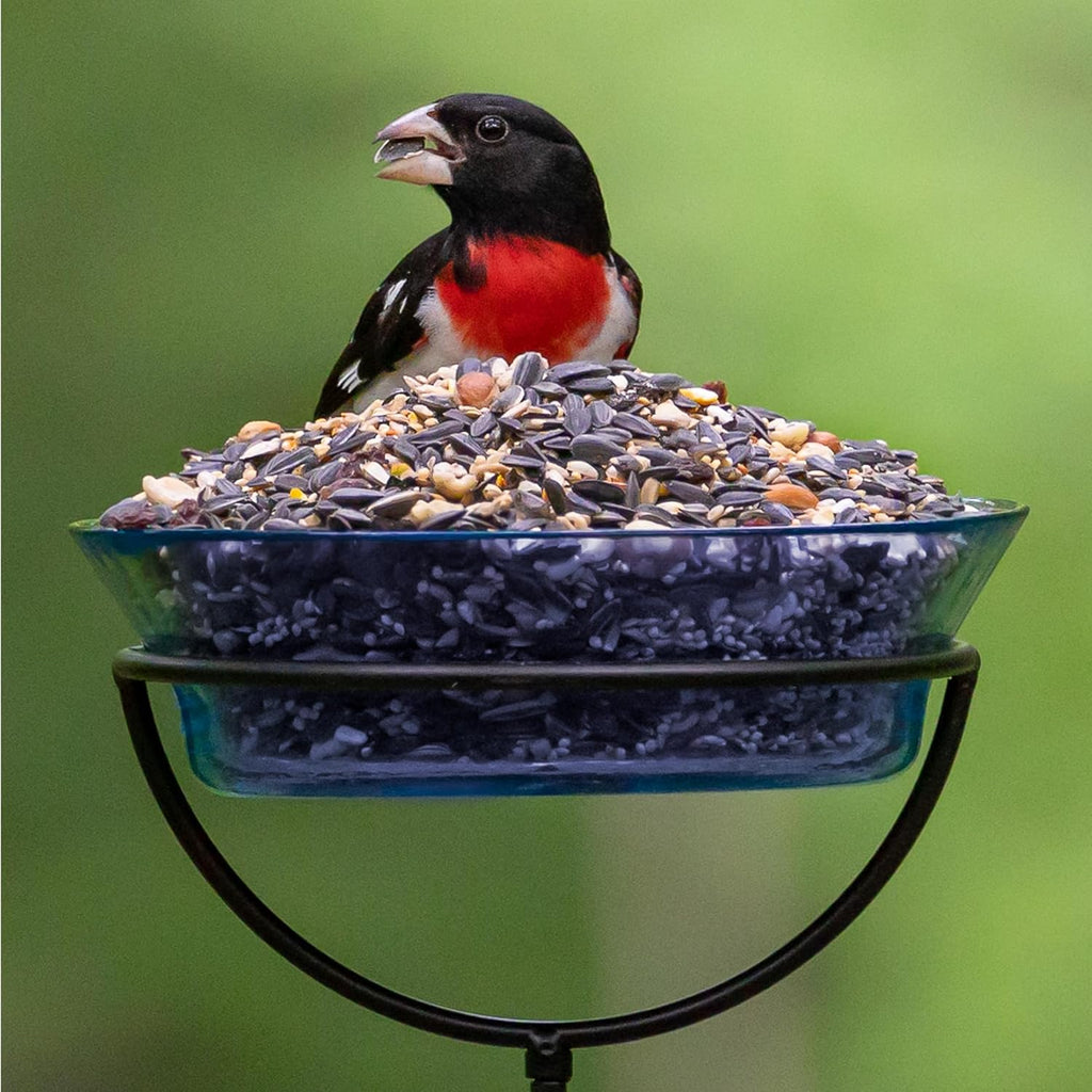 Audubon Park Wild Bird Seed - Extreme Variety for Outdoor Feeders | 15 lb Bag