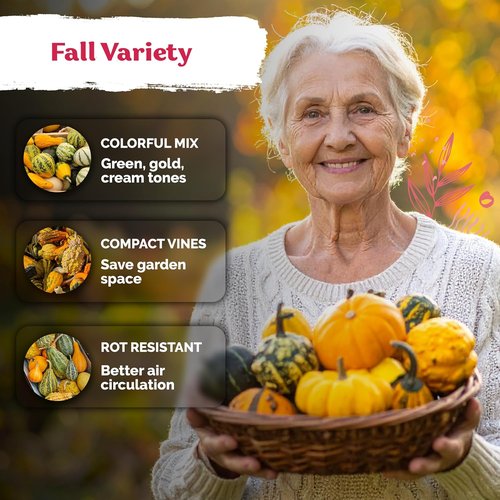 KVITER 50 Small Gourd Seeds Mix - Non-GMO & Organic Decorative Gourds for Fall Decor | Heirloom Seeds for Your Garden