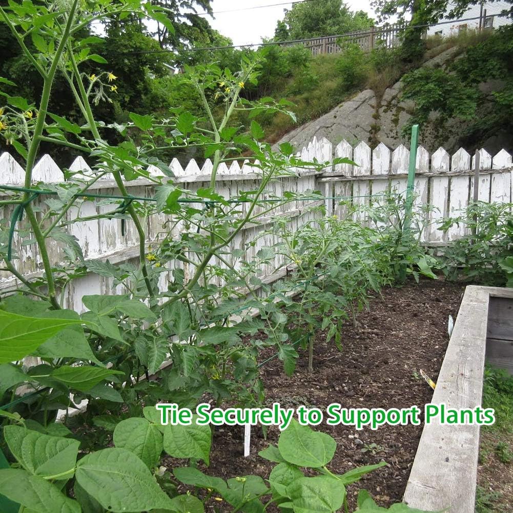 Skiennix Plant Ties - 164 Feet of 8mm Green Garden Twine | Biodegradable Support for Tomatoes, Vines & Roses