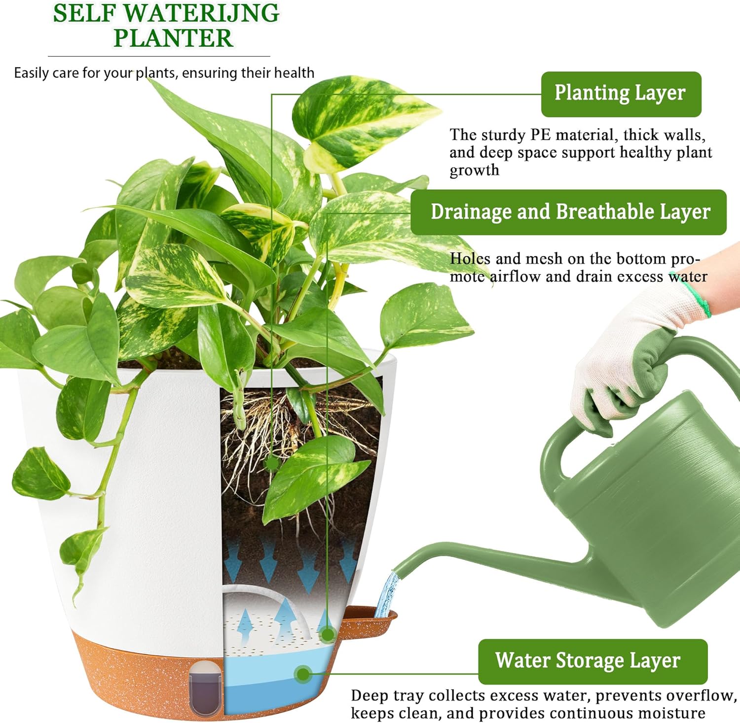 Skiennix 8-Inch Self-Watering Plant Pots - Durable Plastic with Drainage Holes & Water Level Indicator | White (2 Pack)