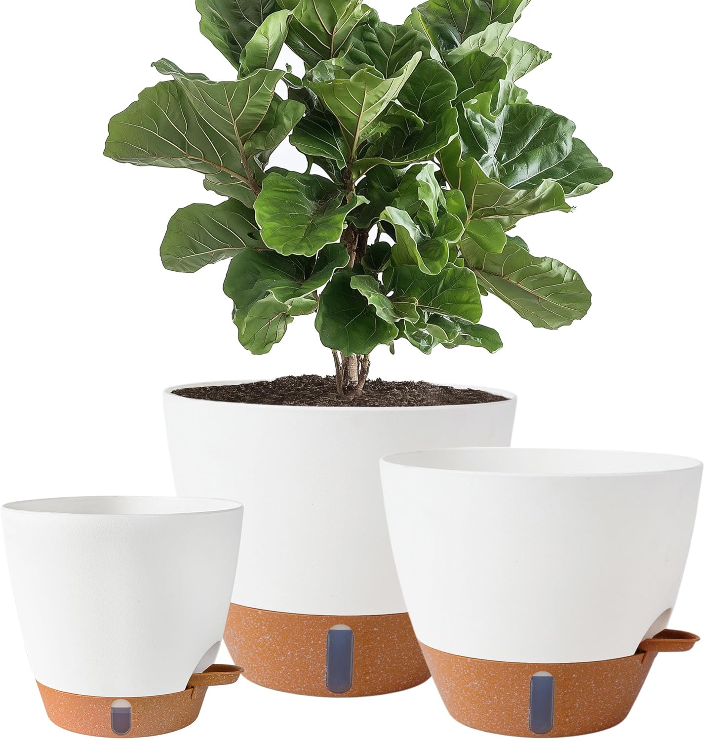 Skiennix Self-Watering Pots - Large 8/10/12 Inch Plastic Planters with Drainage Holes & Water Level Indicator (White)