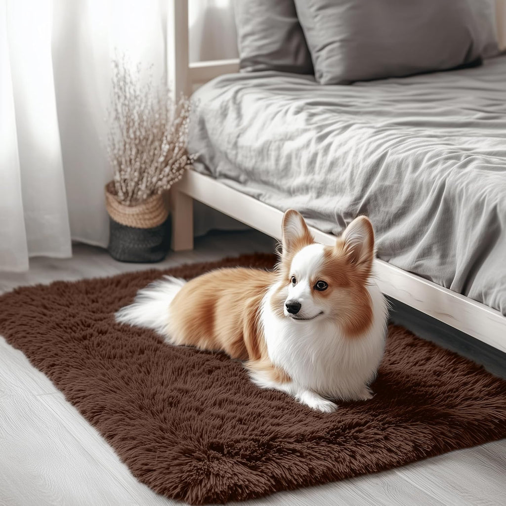OLANLY Small Bedside Rug - Soft, Fluffy Shaggy Throw Rug for Bedroom & Living Room | Machine Washable, Coffee