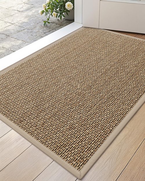 DEXI Ultra Thin Indoor Door Mat - Non-Slip Rubber Backing | Easy-Clean Dirt Trapper, 24x36, Beige