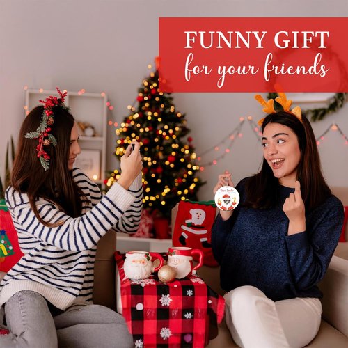 67 Meme Funny Christmas Ornaments - Hilarious Santa Tree Decor for Gag Gifts & Stocking Stuffers