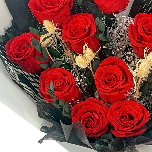 Qutawua Preserved Flower Eternal Rose Bouquet,12 Forever Flowers in Gift Box,Romantic Gift for Women,Valentine's,Mother's Day Gift(Red, 12 Rose)