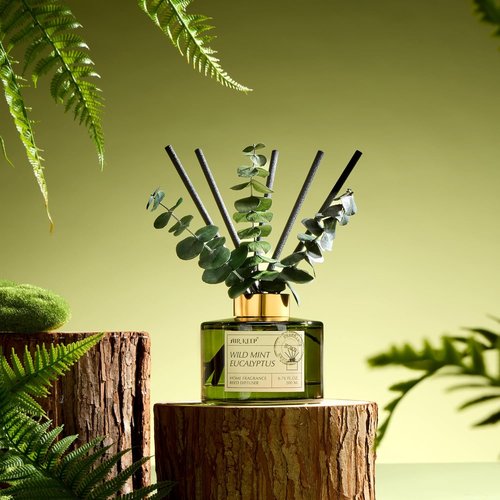 Airkeep Reed Diffuser Set - Wild Mint & Eucalyptus Essential Oils | 6.76 fl oz | Perfect for Home & Office Decor