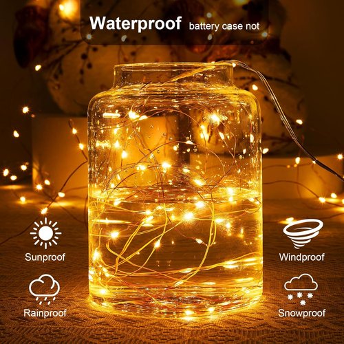Ariceleo Battery Operated String Lights - 16.4ft Warm White Fairy Lights with Timer & Twinkle Mode | 50 LEDs for Christmas & Parties