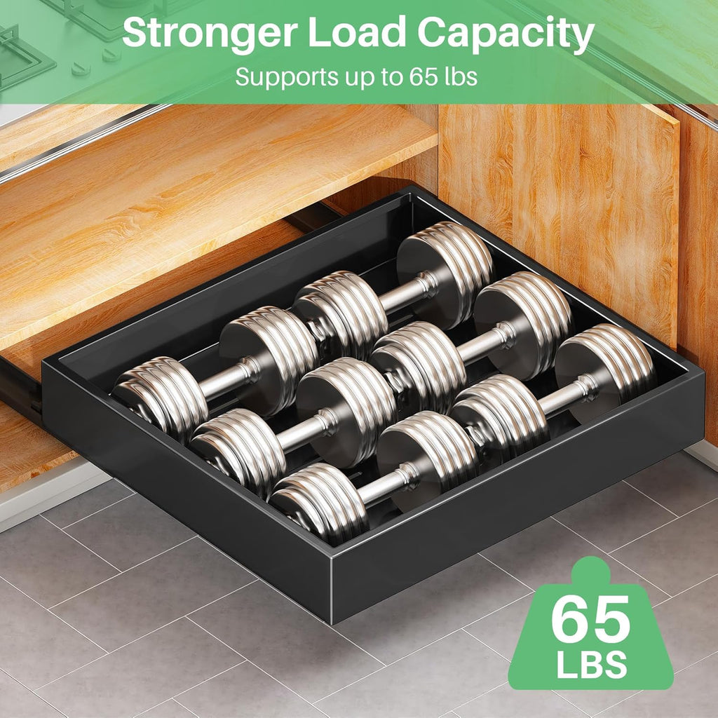 Skiennix Pull-Out Cabinet Organizer - 21" Deep Heavy-Duty Slide-Out Drawers for Kitchen & Bathroom - Black