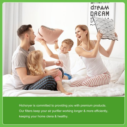 Hichoryer HSP002 Replacement Filter, Compatible with HSP002 Smart True HEPA Air Purifier 2.0 (HSP002 Filter 1 Pack)