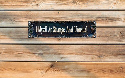 I Myself Am Strange And Unusual Street Sign Retro Funny Wall Decor Metal Tin Signs Fall Season Horror Theme Inappropriate Humor Bar Home College Dorm Decor 16x4 in