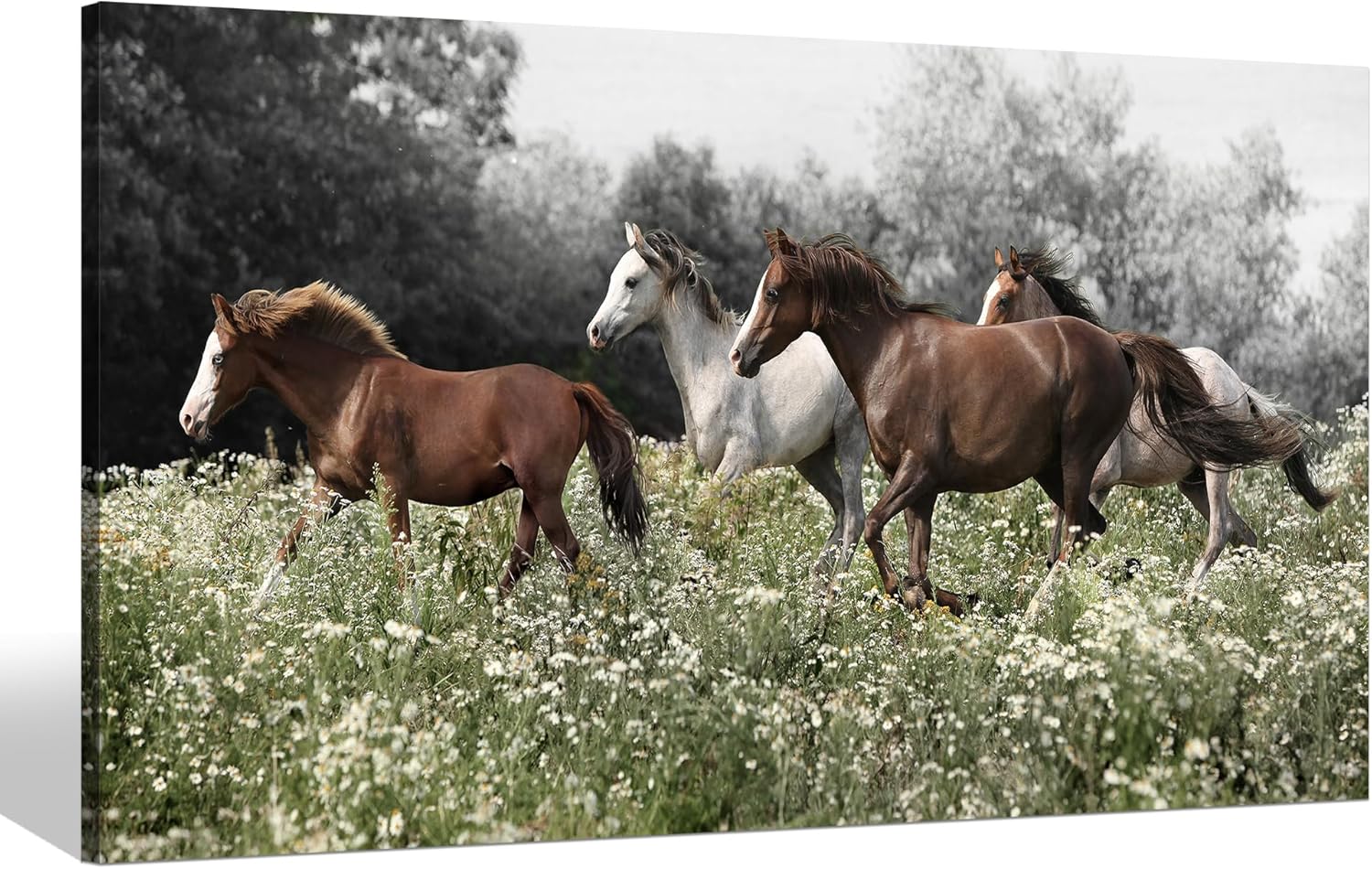 Color Play Horse Canvas Wall Art - Rustic Brown and White Horses Running on Grass | 40 x 20 Inch Decor