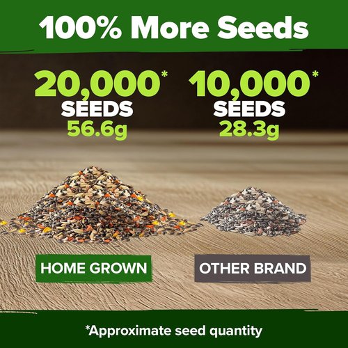 HOME GROWN Premium Monarch Butterfly Wildflower Seeds Mix - 20,000+ Non-GMO Milkweed Seeds for Pollinator Gardens | 2oz Perennial Flower Seeds