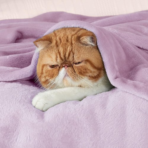 Bedsure GentleSoft Fleece Blanket - Luxuriously Soft Lightweight Plush Queen Size in Lilac Lavender, 90x90 Inches