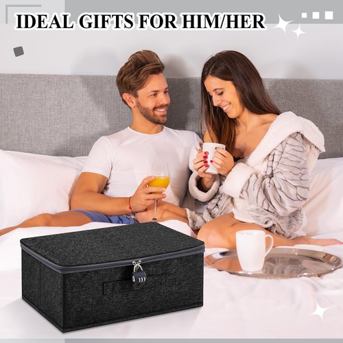 Briwooody Discreet Lockable Toy Bag Storage Organizer Toy Bag Storage Bins Case with Zipper Lid for Women and Men Clothes Container(Black,15 x 10 x 6.3 Inch)