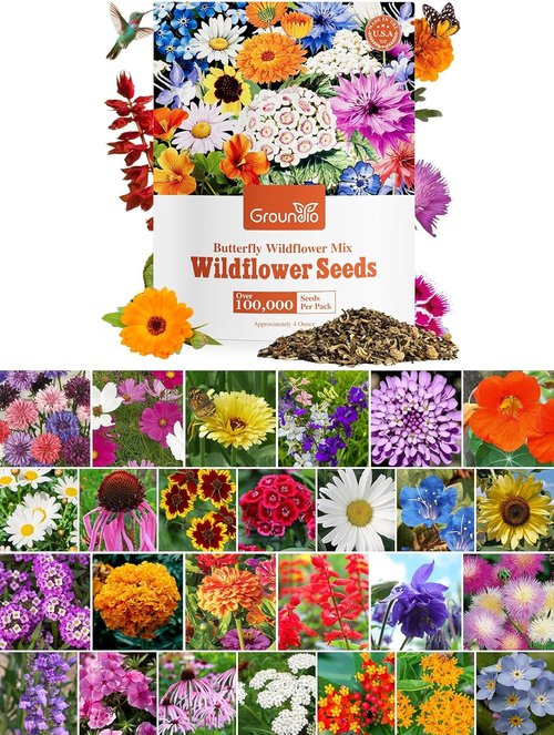 Groundio Wildflower Seeds - 26 Variety Mix for Pollinators | 1/4 lb Bulk, Plant in Spring or Fall