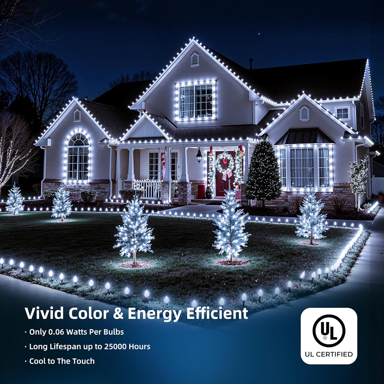 Minetom C9 LED Christmas Lights - 81FT Waterproof String Lights with Timer & 8 Modes | Cool White