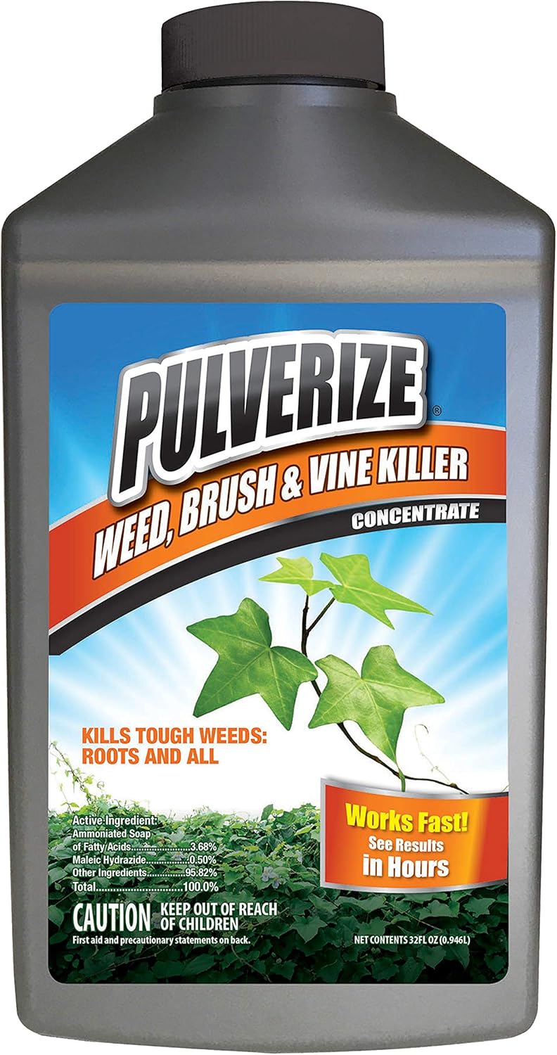 Regine Switzerland Weed Brush & Vine Killer - Fast Acting, Non-Staining Herbicide, 32 oz.