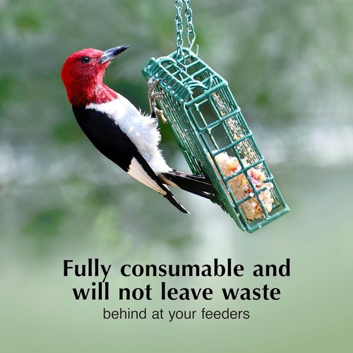 C&S Cranberry Delight Suet Cakes - No Melt Formula for Wild Birds | 8 Pack for Robins, Blue Jays & More