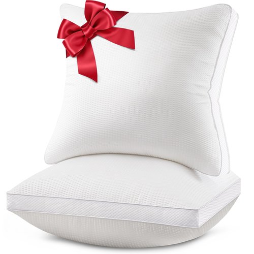 AIAEL 18x18 Pillow Inserts Set of 2, Down Alternative Throw Pillow Inserts with 100% Cotton Cover, Machine Washable Reading Pillows, Decorative Pillows for Bed, Sofa, and Couch