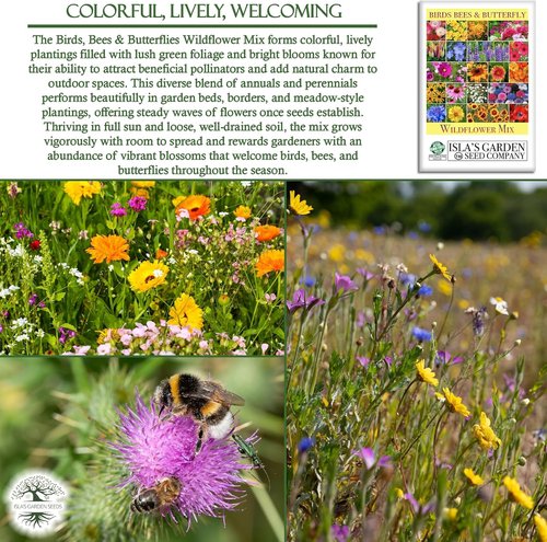 Isla’s Garden Seeds Wildflower Mix - 500+ Non-GMO Heirloom Seeds for Colorful Pollinator Blooms | Perfect for Garden Beds & Meadows