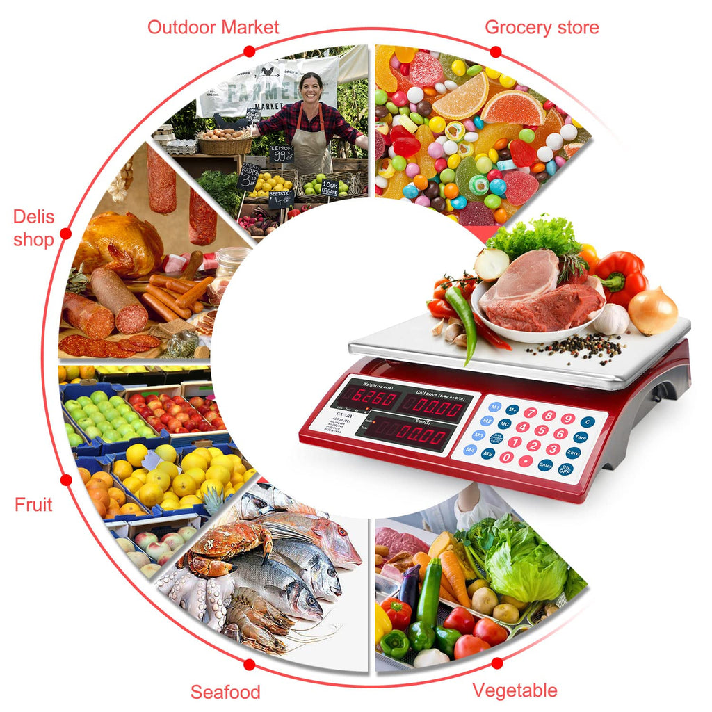 CAMRY Price Computing Scale Commercial Food Scale 66lb / 30kg Fruit Meat Produce, Dual Bright LED Display Stainless Steel Platform, for Deli Farmers Markets Restaurant