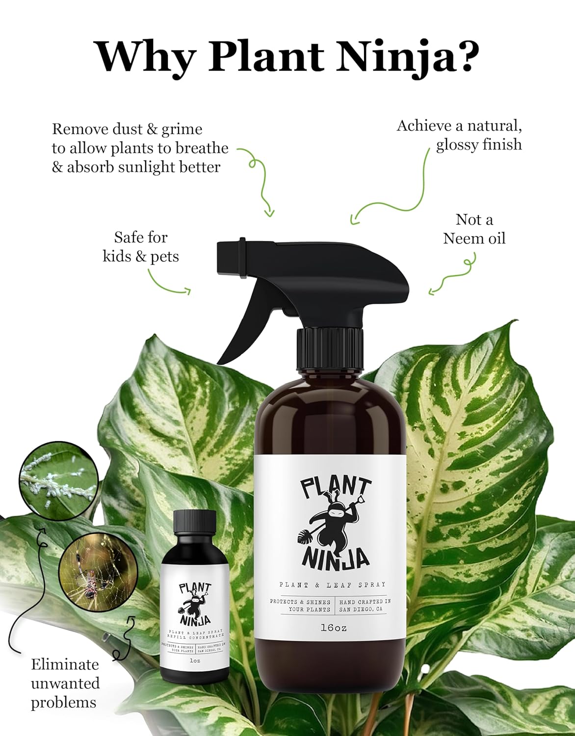 Plant & Leaf Spray - Non-Toxic Leaf Shine & Protector | Eco-Friendly Formula for Indoor Plants | Handcrafted & Women-Owned