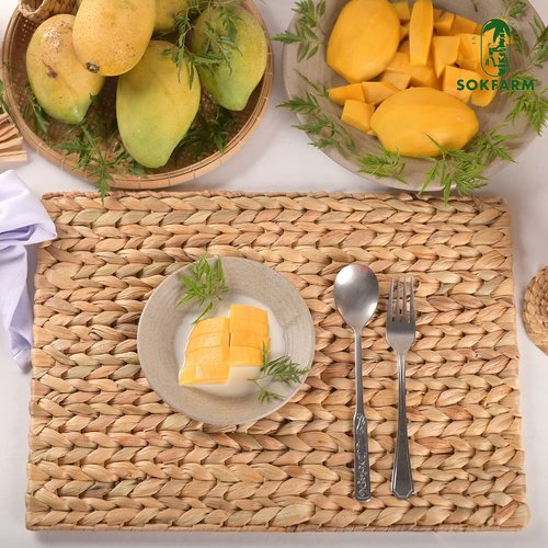 Table Mats Set of 10, Boho Woven Placemats, Individuales para Mesa De Comedor, Easter Farmhous Egreen Placemats, Individuales para Mesa, Table Tyke Placemat, Water Hyacinth Place Mat 17x12