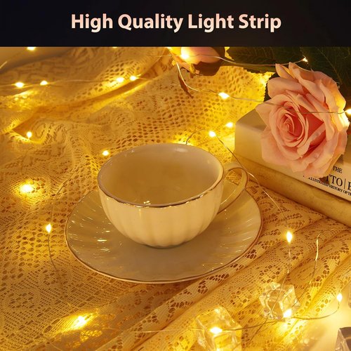 Ariceleo Battery Operated String Lights - 50 LEDs with Remote Control & Timer | 5M/16.4ft Warm White & Multi-Color