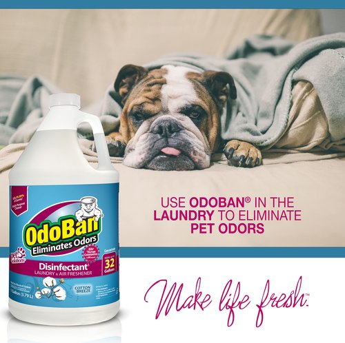 OdoBan Disinfectant Concentrate and Odor Eliminator, Made in the USA, Cotton Breeze Scent, 2 Gallons