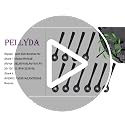 10 Pack Side Brushes for Shark IQ & AI Robot Vacuums