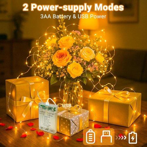 Litogo Fairy Lights - 33FT 100LED Battery Operated String Lights with Timer | 8 Dimmable Modes for Indoor Decor