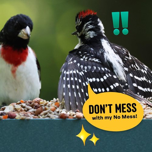 Cool Birds Wild Bird Seed - 100% Edible Shell-Free Blend with Real Fruit & Nuts | 10 lb No Waste Feeder Mix