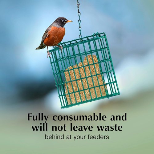 C&S Berry Delight Suet Cakes for Wild Birds - No Melt Formula, 11.75 Ounces, Pack of 8
