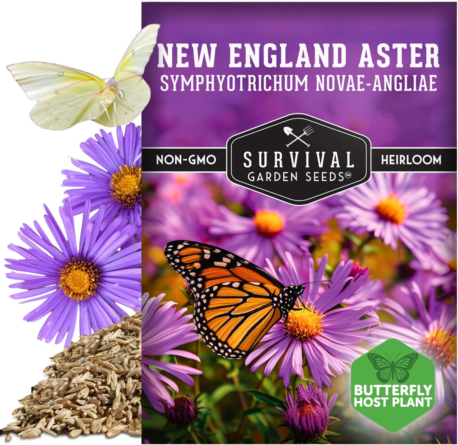 Survival Garden Seeds - New England Aster Seeds | Native Purple Perennial Wildflower | Attracts Butterflies | 1 Pack