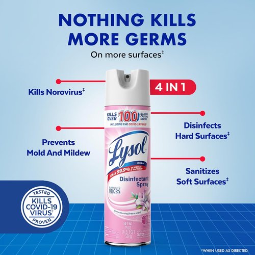 Lysol Disinfectant Spray - Antibacterial & Sanitizing Spray, Early Morning Breeze, 19 Fl Oz (Pack of 2)