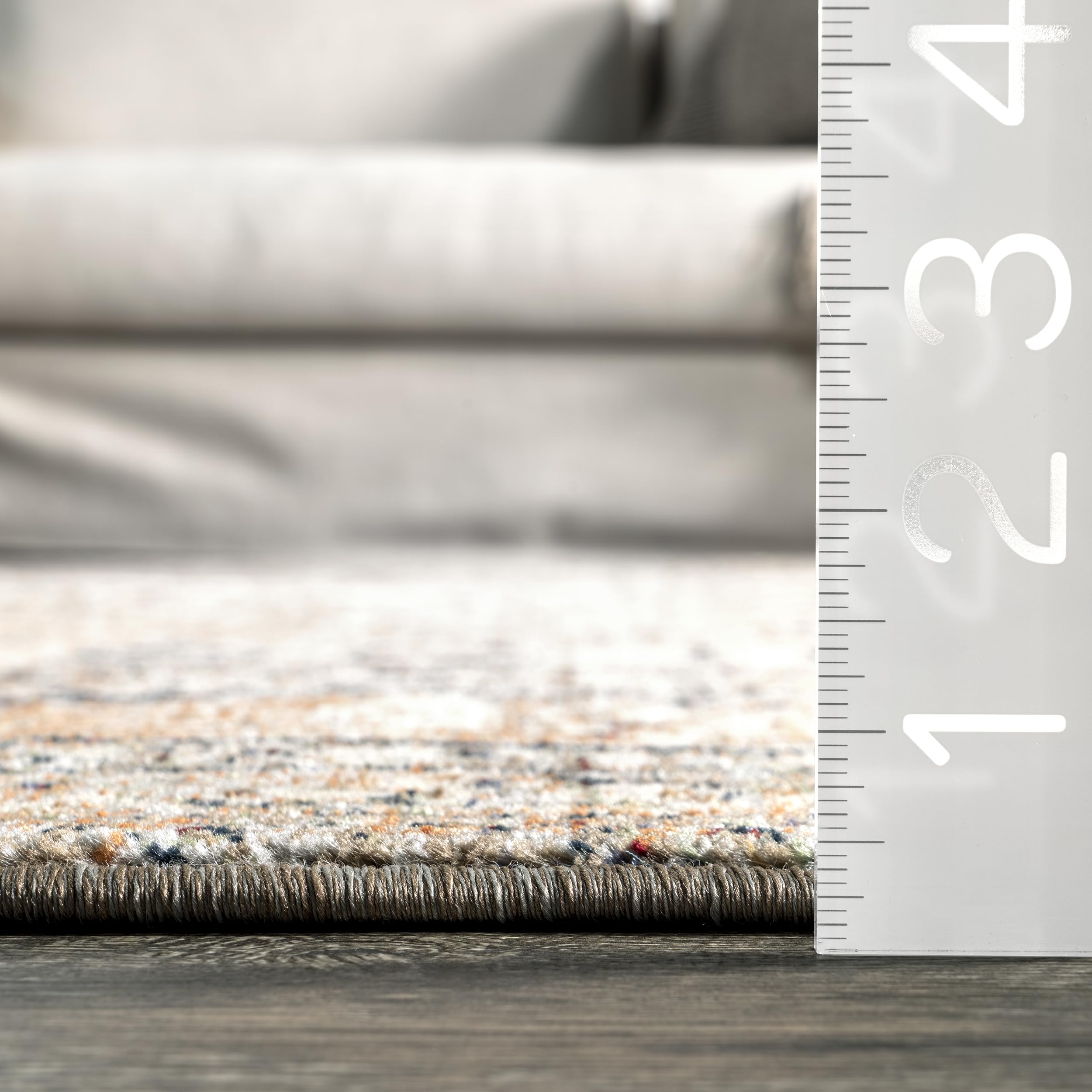nuLOOM Fringed Performance Indoor Area Rug, Power Loomed, Easy Clean, Durable, Non-Shed, 4' x 6', Charvi Multi