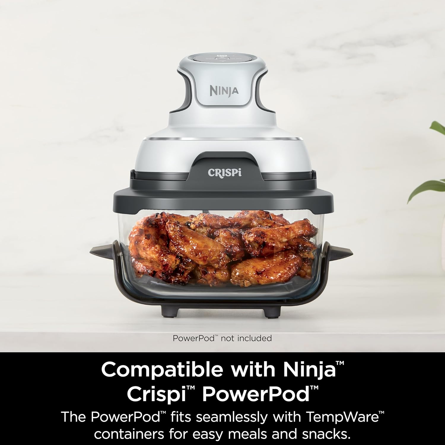 Ninja 4-QT CleanCrisp™ Glassware Container - Microwave & Dishwasher Safe, PFAS Free