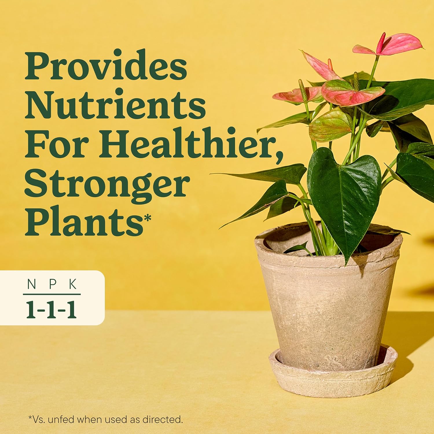 Miracle-Gro Indoor Plant Food - Liquid Nutrient Solution for Houseplants & Vegetables | 8 fl. oz. (2-Pack)