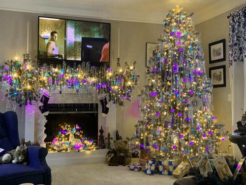 FOMOMDI C3 Outdoor Christmas Lights, 18Ft 50 LED Commercial Grade String Lights for Patio Garden Home Halloween Xmas Tree Holiday Indoor Decoration (1, Purple)