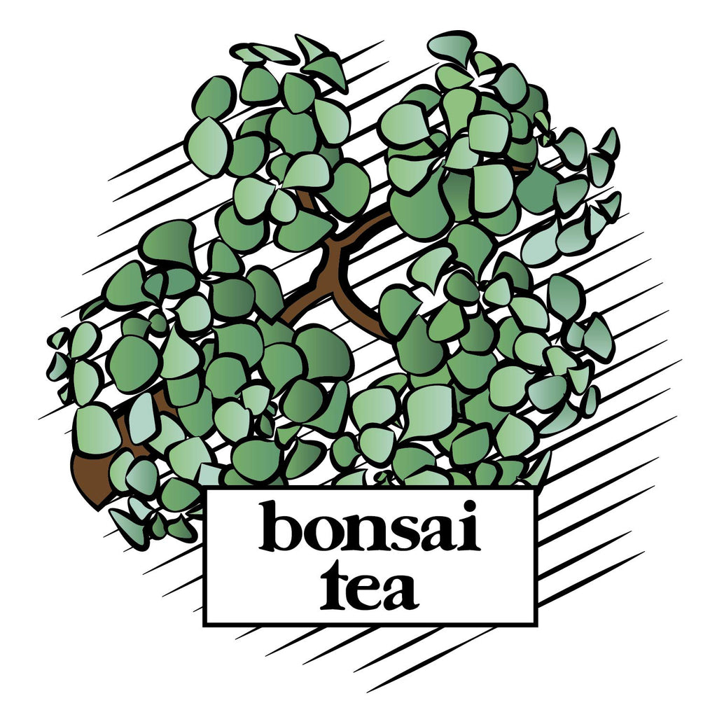 Bonsai Tea Co. Chai Spice, Compatible with K Cup Brewers Including 2.0, 100 Count