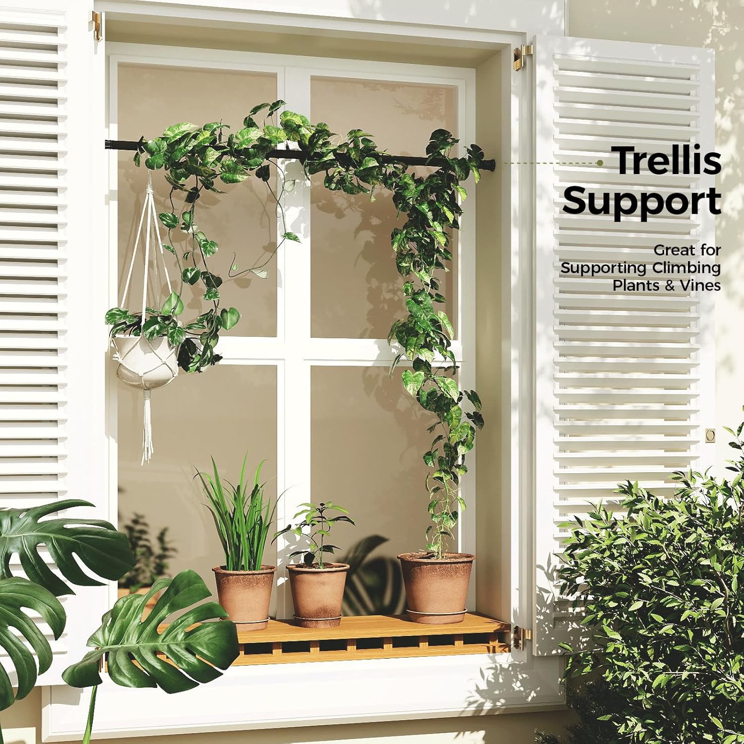 Bamworld Adjustable Indoor Plant Hanger - No-Drill Spring Tension Rods 27''-51'' | Black Expandable Holder